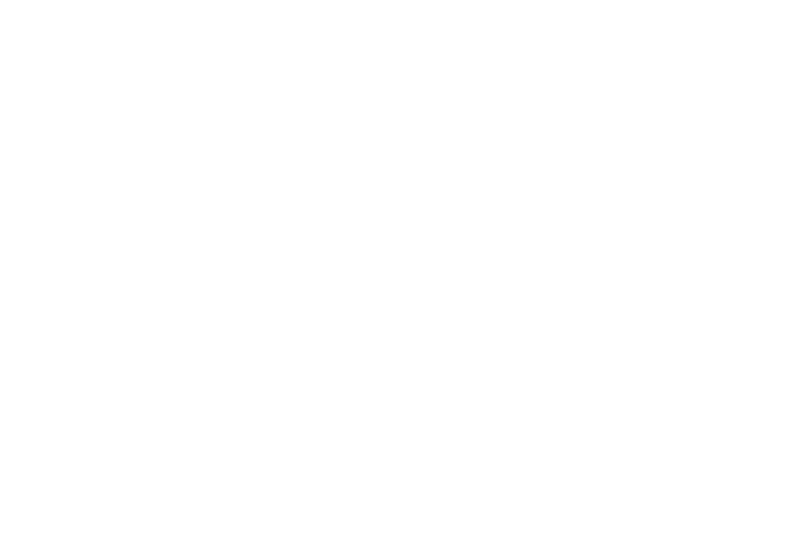 SpinX